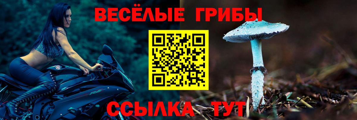 Ачхой-Мартан  Псилоцибиновые грибы GOLDEN TEACHER  Вход с VPN 